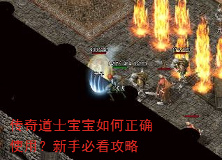 传奇道士宝宝如何正确使用?新手必看攻略 传奇道士宝宝如何正确使用?新手必看攻略