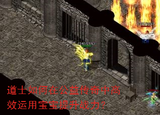 道士如何在公益传奇中高效运用宝宝提升战力? 道士如何在公益传奇中高效运用宝宝提升战力?
