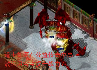 道士如何在公益传奇中高效运用宝宝提升战力? 道士如何在公益传奇中高效运用宝宝提升战力?