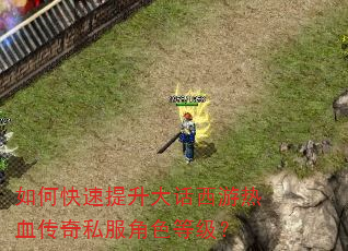 如何快速提升大话西游热血传奇私服角色等级? 如何快速提升大话西游热血传奇私服角色等级?