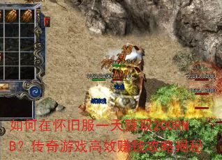 ����ڻ��ɷ�һ��׬ȡ200RMB��������Ϸ��Ч׬Ǯ���Խ���