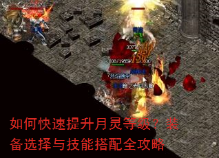如何快速提升月灵等级?装备选择与技能搭配全攻略 如何快速提升月灵等级?装备选择与技能搭配全攻略