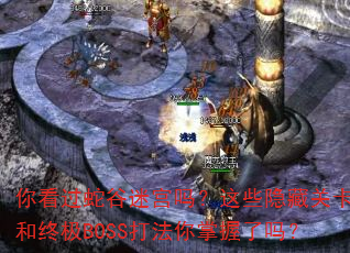 你看过蛇谷迷宫吗?这些隐藏关卡和终极BOSS打法你掌握了吗? 你看过蛇谷迷宫吗?这些隐藏关卡和终极BOSS打法你掌握了吗?