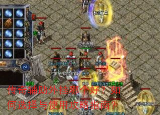 ���渨������ĸ��ã����ѡ����ʹ�ù���ָ�ϣ�
