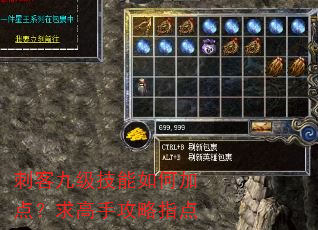 刺客九级技能如何加点?求高手攻略指点 刺客九级技能如何加点?求高手攻略指点
