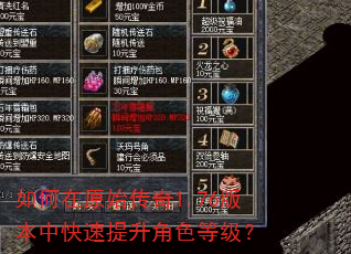 如何在原始传奇1.76版本中快速提升角色等级? 如何在原始传奇1.76版本中快速提升角色等级?