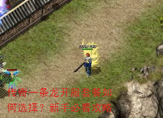 传奇一条龙开服套餐如何选择?新手必看攻略 传奇一条龙开服套餐如何选择?新手必看攻略