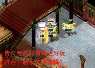 传奇专属服有哪些好玩推荐?新手如何选择? 传奇专属服有哪些好玩推荐?新手如何选择?