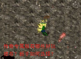 传奇专属服有哪些好玩推荐?新手如何选择? 传奇专属服有哪些好玩推荐?新手如何选择?