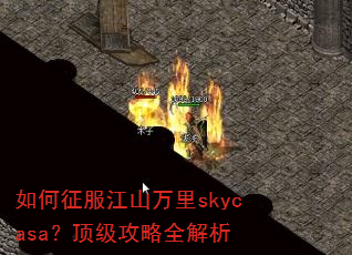 ���������ɽ����skycasa����������ȫ����