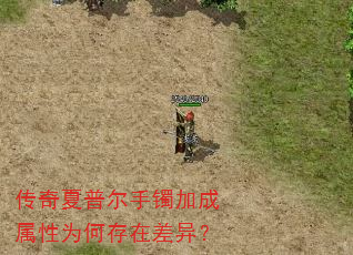 传奇夏普尔手镯加成属性为何存在差异? 传奇夏普尔手镯加成属性为何存在差异?