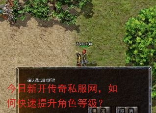 今日新开传奇私服网,如何快速提升角色等级? 今日新开传奇私服网,如何快速提升角色等级?
