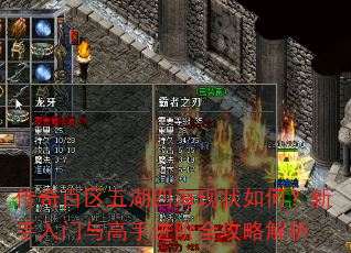 传奇百区五湖四海现状如何?新手入门与高手进阶全攻略解析 传奇百区五湖四海现状如何?新手入门与高手进阶全攻略解析