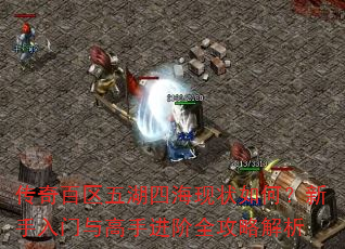 传奇百区五湖四海现状如何?新手入门与高手进阶全攻略解析 传奇百区五湖四海现状如何?新手入门与高手进阶全攻略解析