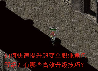 如何快速提升超变单职业角色等级?有哪些高效升级技巧? 如何快速提升超变单职业角色等级?有哪些高效升级技巧?