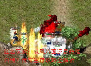 红名玩家:威风八面还是悲催自缚?传奇生存攻略全解析 红名玩家:威风八面还是悲催自缚?传奇生存攻略全解析