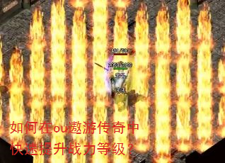 �����ou���δ����п�������ս���ȼ���